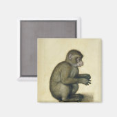 Aimant Un singe (Recto/Verso)