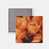 Aimant Un tableau de tulipes orange, marché de rue d'Amst (Recto/Verso)