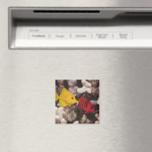 Aimant Un Tang Jaune (In Situ (Lave-vaisselle))