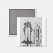 Aimant Un vieux clepsydras, illustration (Recto/Verso)