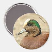 Aimant Un Wigeon américain sur la plage (Recto/Verso)