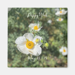 Aimant Une Californie en fleurs : Semaine du pavot