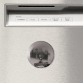 Aimant Une caméra pas si cachée (In Situ (Lave-vaisselle))