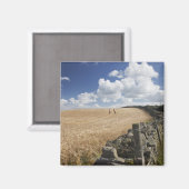 Aimant Une Clôture En Fil Barbelé Construite Le Long D'Un (Recto/Verso)