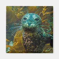 Une Curieuse Forêt De Kelp De Phoque Portuaire | P