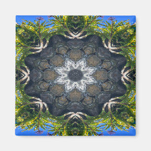 Aimant Une étoile dans le bassin......