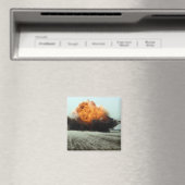 Aimant Une explosion éclate (In Situ (Lave-vaisselle))