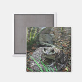 Aimant Une grenouille heureuse (Recto/Verso)