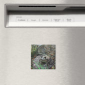 Aimant Une grenouille heureuse (In Situ (Lave-vaisselle))