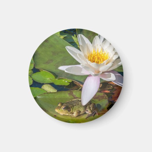 Aimant Une grenouille sous une fleur de nénuphar (Devant)