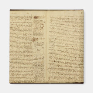 Aimant Une page du codex Leicester, 1508-12