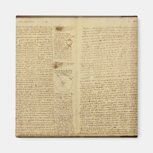 Aimant Une page du Codex Leicester, 1508-12 (Devant)