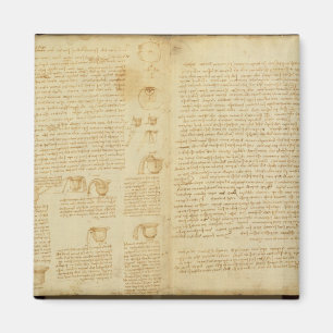 Aimant Une page du codex Leicester, 1508-12
