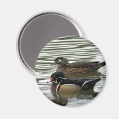Aimant Une paire de canards à bois (Recto/Verso)