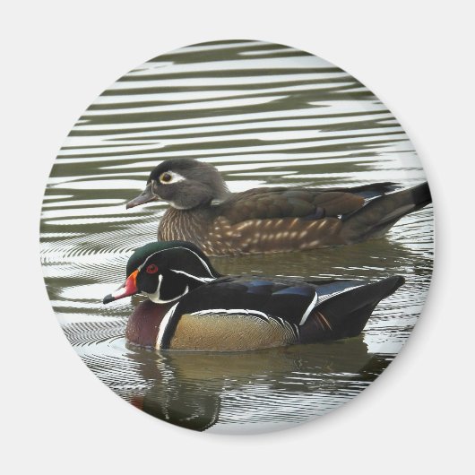 Aimant Une paire de canards à bois (Devant)