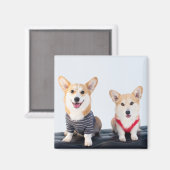 Aimant Une Paire De Corgis Assis Sur Un Banc (Recto/Verso)