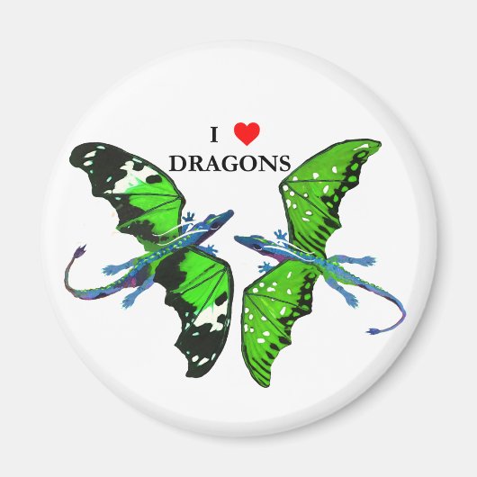 Aimant Une paire de dragons (Devant)
