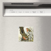 Aimant Une paire de Robins (In Situ (Lave-vaisselle))