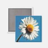 Aimant Une pâtisserie blanche sous un ciel bleu (Recto/Verso)