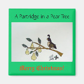 Aimant Une perdrix dans un poirier. (Devant)