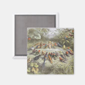 Aimant Une répétition en terre fée, illustration de "In F (Recto/Verso)