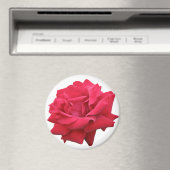 Aimant Une rose rouge classique (In Situ (Lave-vaisselle))