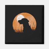 Aimant Une Silhouette D'Un Laboratoire Noir Ou Jaune De C (Devant)