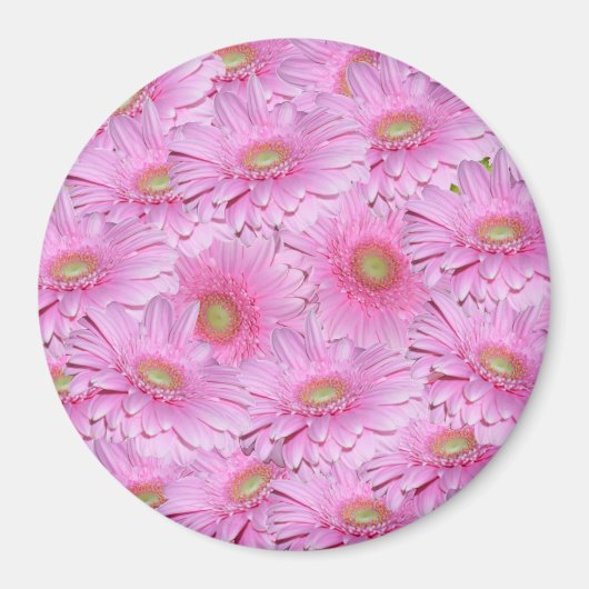 Aimant Une symphonie de gerbera roses, (Devant)