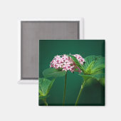 Aimant Une touche de rose dans l'aimant vert (Recto/Verso)