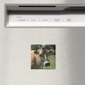Aimant Une Vache Jersey Brown En Été Meadow Frigidaire (In Situ (Lave-vaisselle))