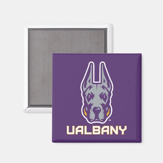 Aimant Université d'Albany Great Danes (Recto/Verso)