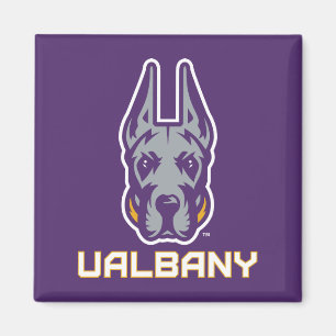 Aimant Université d'Albany Great Danes