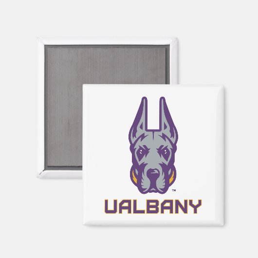Aimant Université d'Albany Great Danes (Recto/Verso)
