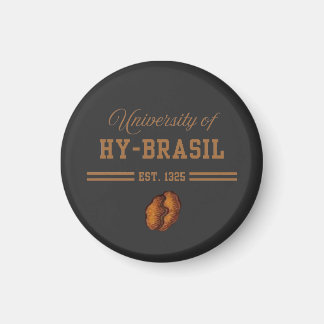 Aimant University of Hy-Brasil, Est. 1325
