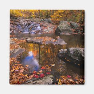 Aimant Upper Whiteoak Falls, parc national de Shenandoah,