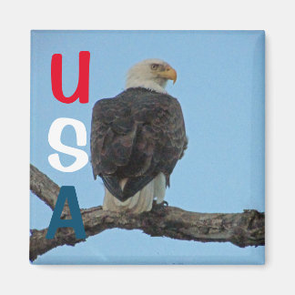 AIMANT USA