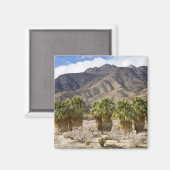 Aimant USA, Californie, Anza-Borrego Desert State Park. (Recto/Verso)