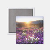 Aimant USA, Californie, Anza-Borrego Desert State Park. 2 (Recto/Verso)