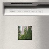 Aimant USA, Californie, Parc national de Yosemite, El 4 (In Situ (Lave-vaisselle))