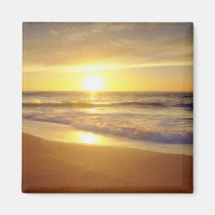 Aimant USA, Californie, San Diego. La Jolla Shores