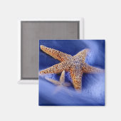 Aimant USA, Caroline du Sud, Hilton Head Island. Deux (Recto/Verso)