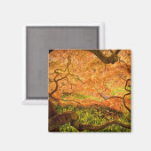 Aimant USA, Delaware, Wilmington. érable japonais (Recto/Verso)