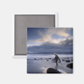 Aimant USA, Etat de Washington, Parc National Olympique. (Recto/Verso)