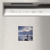 Aimant USA, Etat de Washington, Parc National Olympique. (In Situ (Lave-vaisselle))