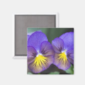 Aimant USA, Géorgie, Pine Mountain. Un closeudo de sansy (Recto/Verso)