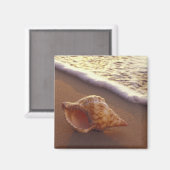 Aimant USA, Hawaii, Maui, Kihei, Lumière du soir sur (Recto/Verso)