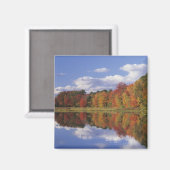 Aimant USA, Massachusetts, Acton. Réflexion de l'automne (Recto/Verso)