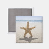 Aimant USA, Massachusetts, Cape Cod, Nantucket, fermeture (Recto/Verso)