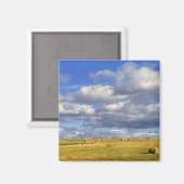 Aimant USA, Nebraska, Morrill Comté. Poule dorée (Recto/Verso)