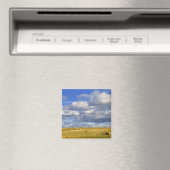 Aimant USA, Nebraska, Morrill Comté. Poule dorée (In Situ (Lave-vaisselle))